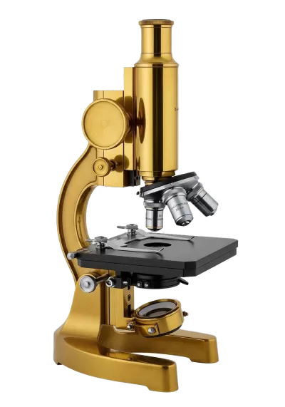 Imagen PNG para descargar